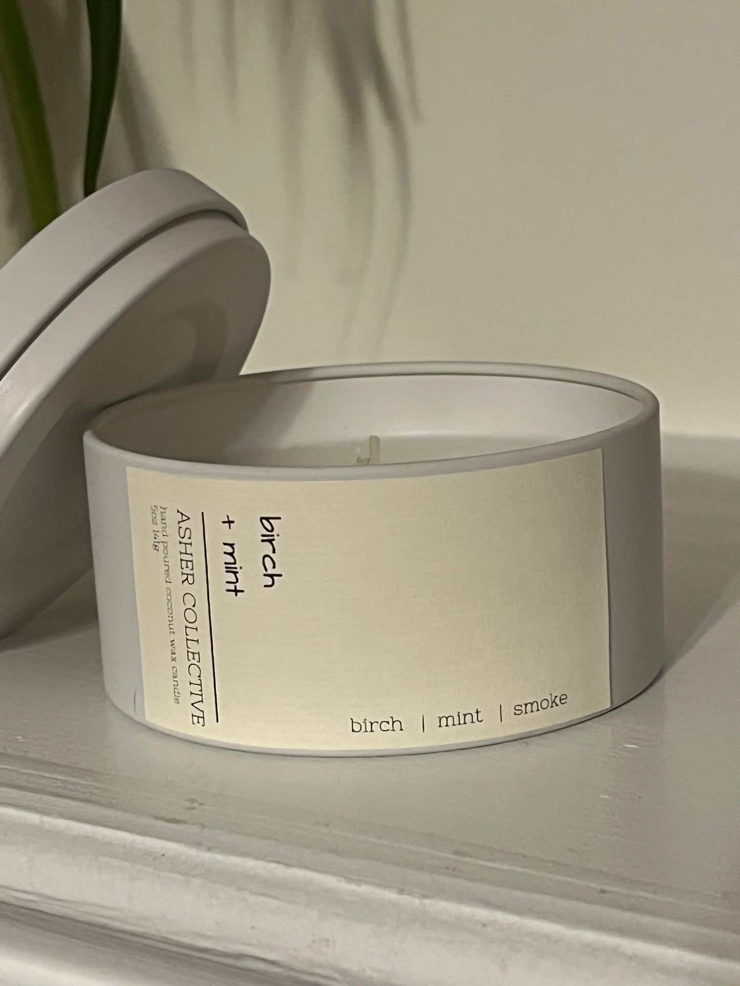 Birch + Mint 5oz Candle